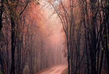 必赢体育:述评:“打破天花板”的抉择.