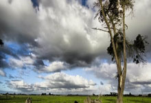 必赢体育:男网世界第一辛纳被禁赛三个月,不影响参加法网羊城晚报.