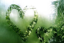 必赢体育:独行侠CEO:时间会证明交易是好是坏,我们会找回丢失的信任.